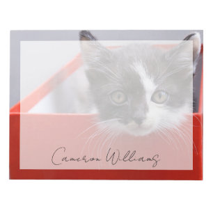 Cutest Baby Animals Black & White Kitten Notepad