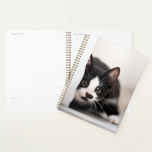 Cutest Baby Animals Black & White Kitten Planner