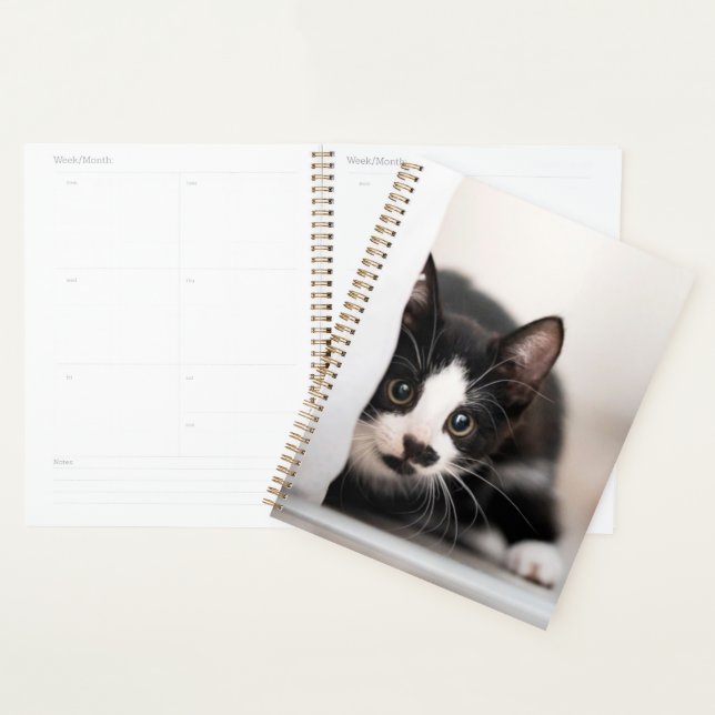 Cutest Baby Animals | Black & White Kitten Planner (Display)