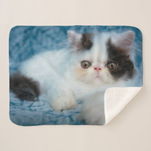 Cutest Baby Animals Black & White Kitten Sherpa Blanket