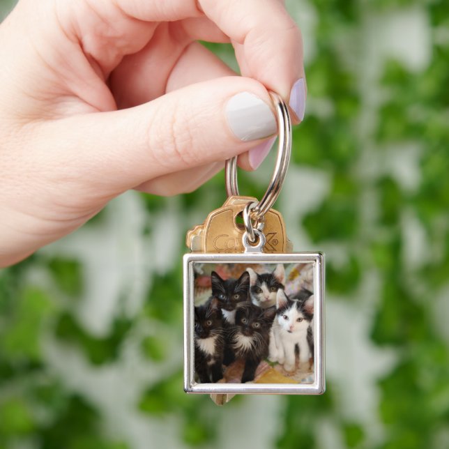 Cutest Baby Animals | Black & White Kittens Key Ring (Hand)