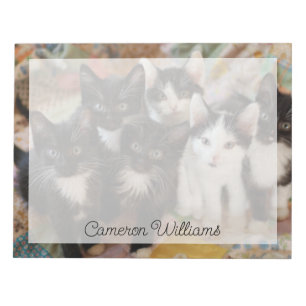 Cutest Baby Animals Black & White Kittens Notepad