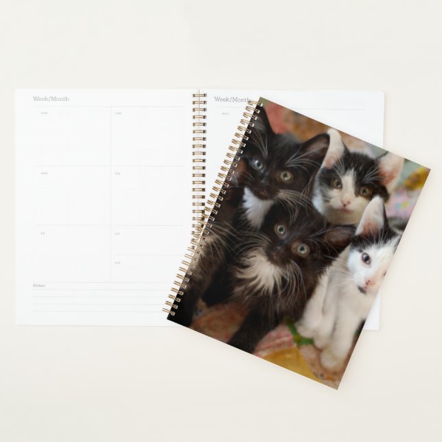 Cutest Baby Animals | Black & White Kittens Planner (Display)