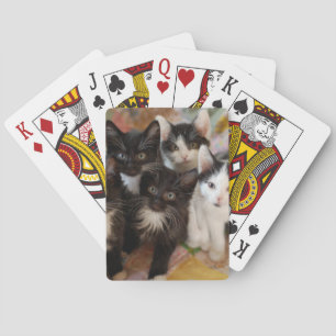 Cutest Baby Animals Black & White Kittens Playing Cards