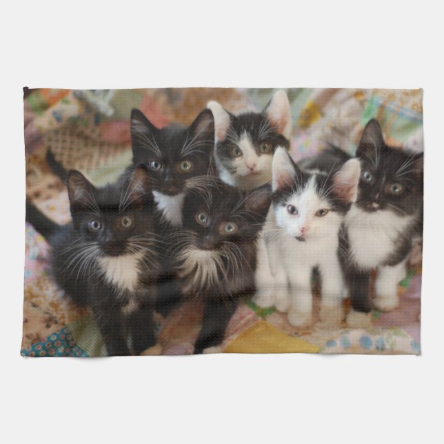 Cutest Baby Animals | Black & White Kittens Tea Towel (Horizontal)