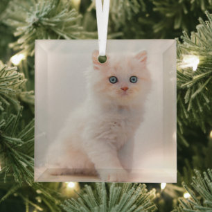 Cutest Baby Animals   Blue Eye Kitten Glass Tree Decoration