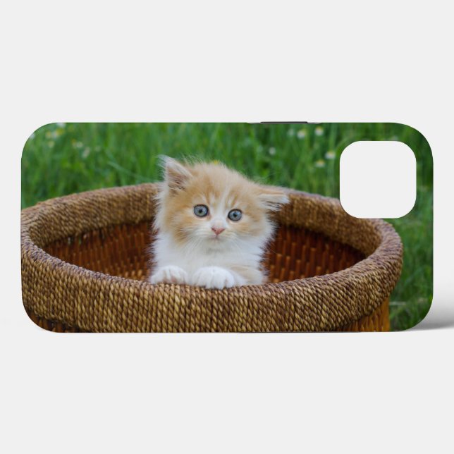 Cutest Baby Animals | Blue Eyed Kitten Case-Mate iPhone Case (Back (Horizontal))
