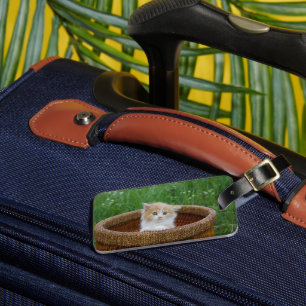 Cutest Baby Animals   Blue Eyed Kitten Luggage Tag
