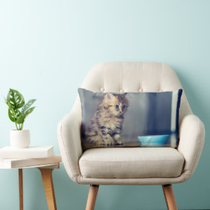 Cutest Baby Animals Blue-eyed Persian Kitten Lumbar Cushion