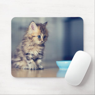 Cutest Baby Animals   Blue-eyed Persian Kitten Mouse Pad