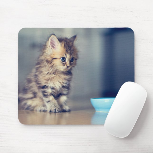 Cutest Baby Animals | Blue-eyed Persian Kitten Mouse Pad (With Mouse)