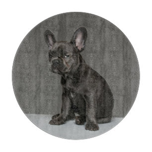 Cutest Baby Animals Blue French Bulldog Puppy Cutting Board