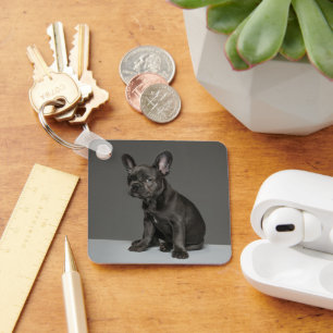 Cutest Baby Animals Blue French Bulldog Puppy Key Ring