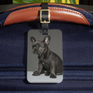 Cutest Baby Animals Blue French Bulldog Puppy Luggage Tag