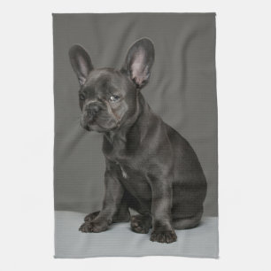 Cutest Baby Animals Blue French Bulldog Puppy Tea Towel