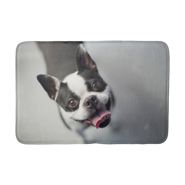 Cutest Baby Animals | Boston Bulldog Smile Bath Mat (Front)