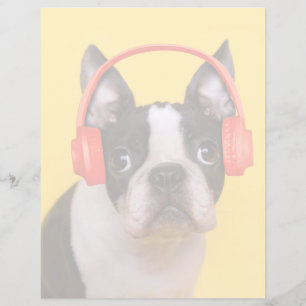 Cutest Baby Animals   Boston Terrier Headphones