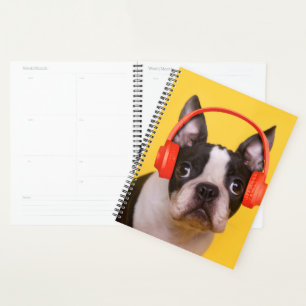 Cutest Baby Animals   Boston Terrier Headphones Planner