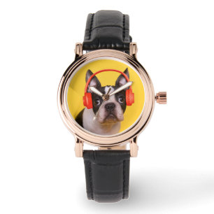 Cutest Baby Animals   Boston Terrier Headphones Watch
