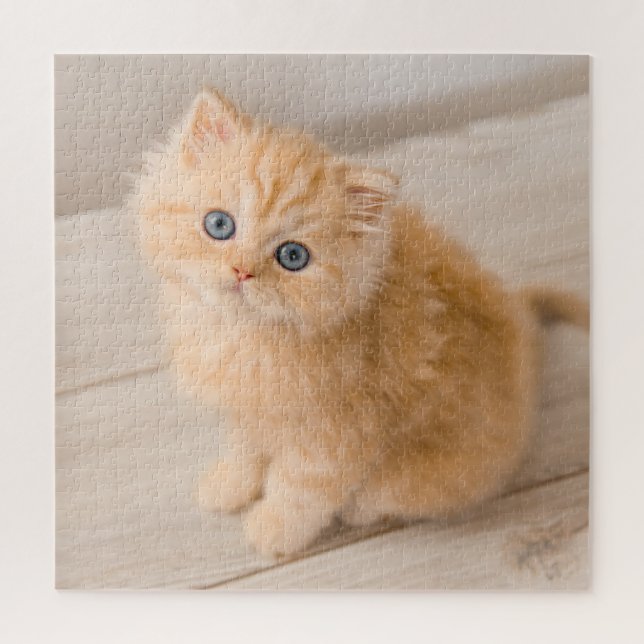 Cutest Baby Animals | British Longhair Kitten Jigsaw Puzzle (Vertical)