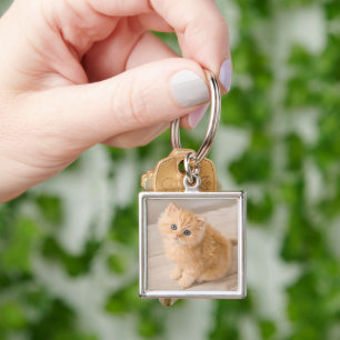Cutest Baby Animals British Longhair Kitten Key Ring