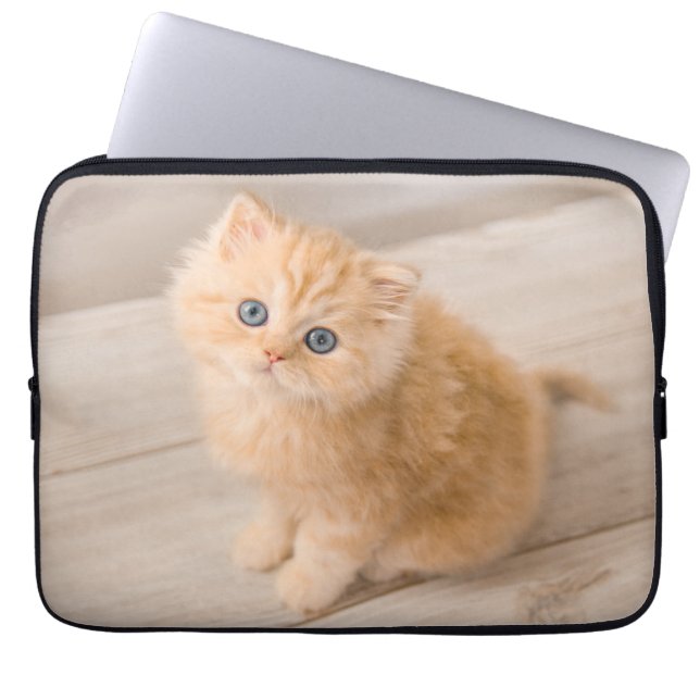 Cutest Baby Animals | British Longhair Kitten Laptop Sleeve (Front)