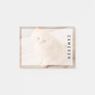 Cutest Baby Animals British Longhair Kitten Post-it Notes