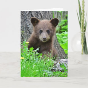 Cutest Baby Animals   Brown Bear Cub Card
