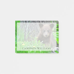 Cutest Baby Animals Brown Bear Cub Post-it Notes