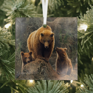 Cutest Baby Animals Brown Bear Family Glass Tree Decoration