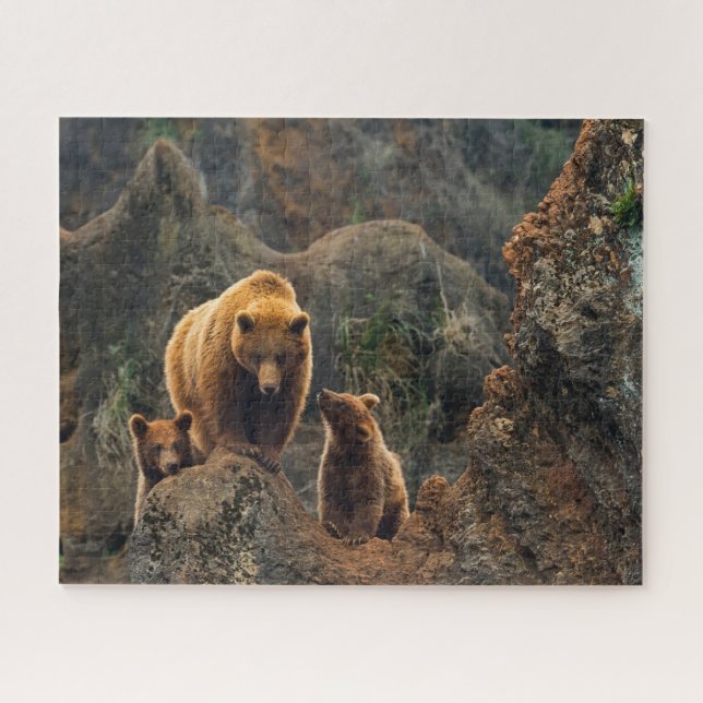 Cutest Baby Animals | Brown Bear Family Jigsaw Puzzle (Horizontal)
