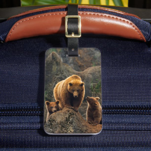 Cutest Baby Animals   Brown Bear Family Luggage Tag