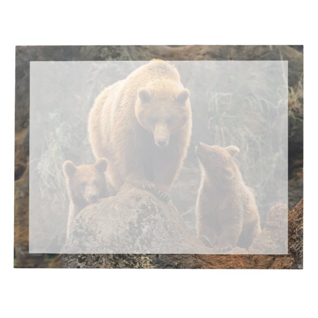 Cutest Baby Animals | Brown Bear Family Notepad (Front)