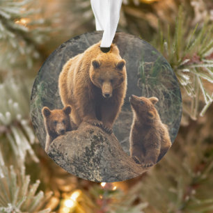 Cutest Baby Animals Brown Bear Family Ornament