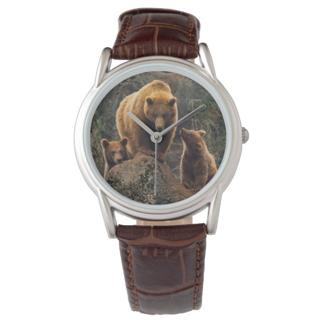 Cutest Baby Animals | Brown Bear Family Watch (Front)