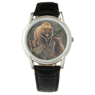 Cutest Baby Animals   Brown Bear Family Watch