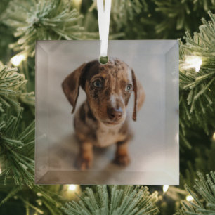Cutest Baby Animals Brown Dachshund Puppy Glass Tree Decoration