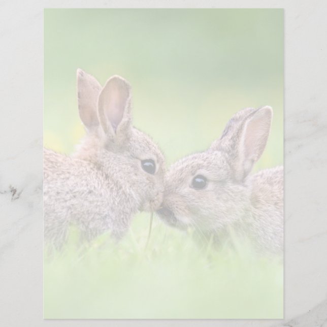 Cutest Baby Animals | Bunny Kiss (Front)