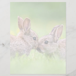 Cutest Baby Animals Bunny Kiss
