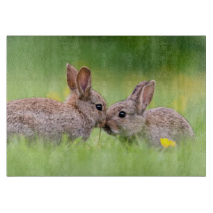 Cutest Baby Animals   Bunny Kiss Cutting Board