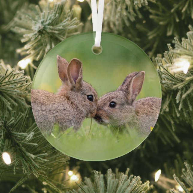 Cutest Baby Animals | Bunny Kiss Glass Tree Decoration (Insitu)