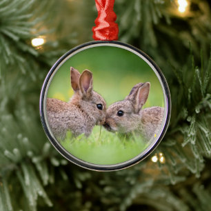 Cutest Baby Animals Bunny Kiss Metal Tree Decoration