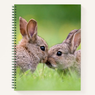 Cutest Baby Animals Bunny Kiss Notebook