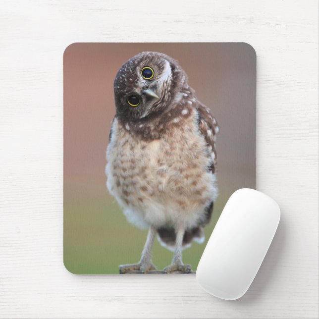 Cutest Baby Animals | Burrowing Owl Owlet Mouse Pad (With Mouse)