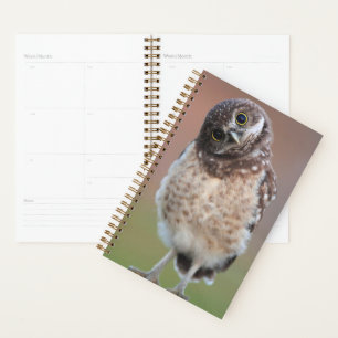 Cutest Baby Animals Burrowing Owl Owlet Planner