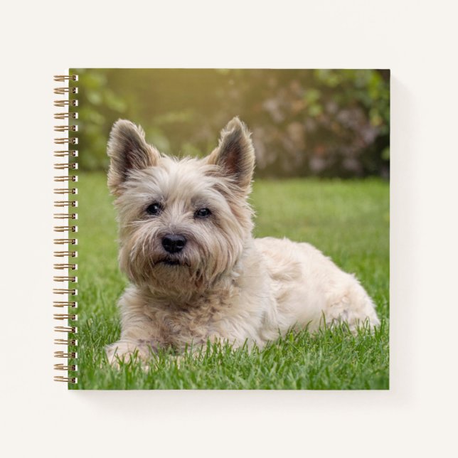 Cutest Baby Animals | Cairn Terrier Dog Notebook (Front)