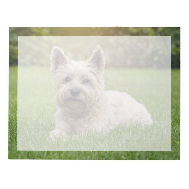 Cutest Baby Animals | Cairn Terrier Dog Notepad (Front)