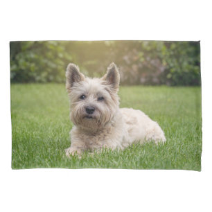Cutest Baby Animals   Cairn Terrier Dog Pillowcase