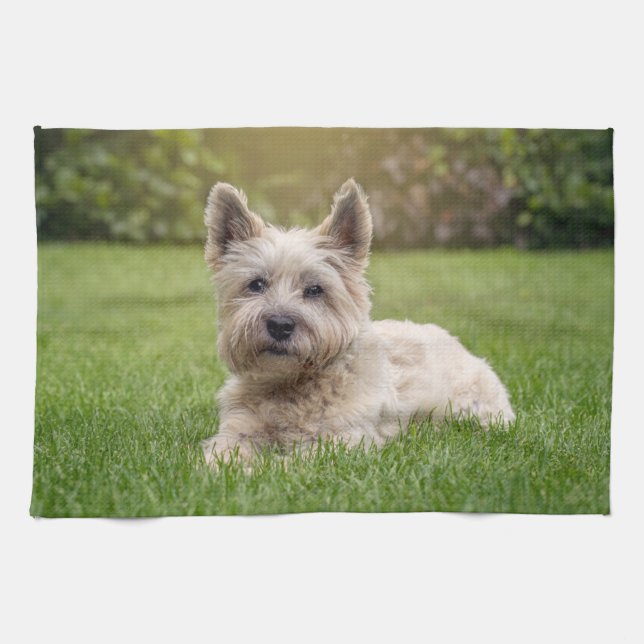 Cutest Baby Animals | Cairn Terrier Dog Tea Towel (Horizontal)