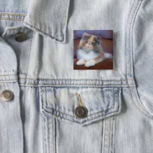 Cutest Baby Animals Calico Persian Kitten 15 Cm Square Badge